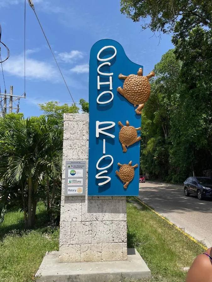 Serenity At Mystic Ridge Ocho Rios Apartment