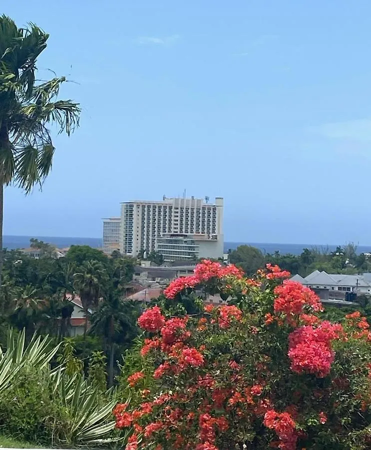 Apartment Serenity At Mystic Ridge Ocho Rios